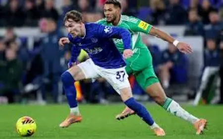 Newcastle vs Everton: Late Thierno Barry Winner Seals 3-2 Away Win at St James’ Park