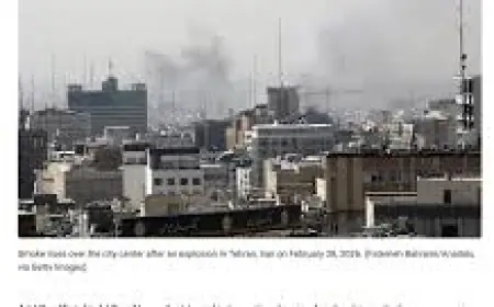 Fox News host and former Trump aide falsely claims president was never on Epstein’s plane — as it happened