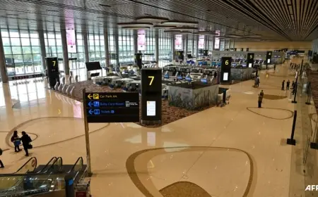 Singapore Airlines Transit Passengers Found Infected with Measles Before Arrival; Auckland Cluster Expands to Three Cases