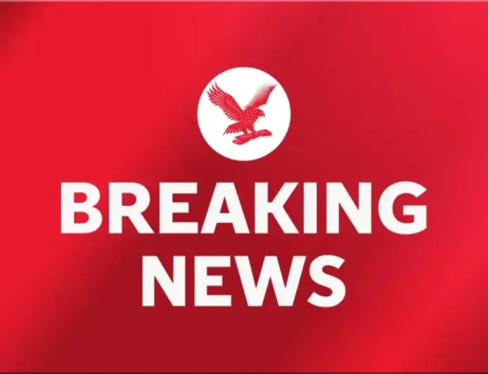 Trump Criticizes CNN’s Kaitlan Collins Over Epstein File Questions