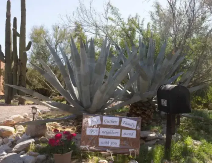 Savannah Guthrie Expresses Hope: ‘Our Mom Is Still Out There’