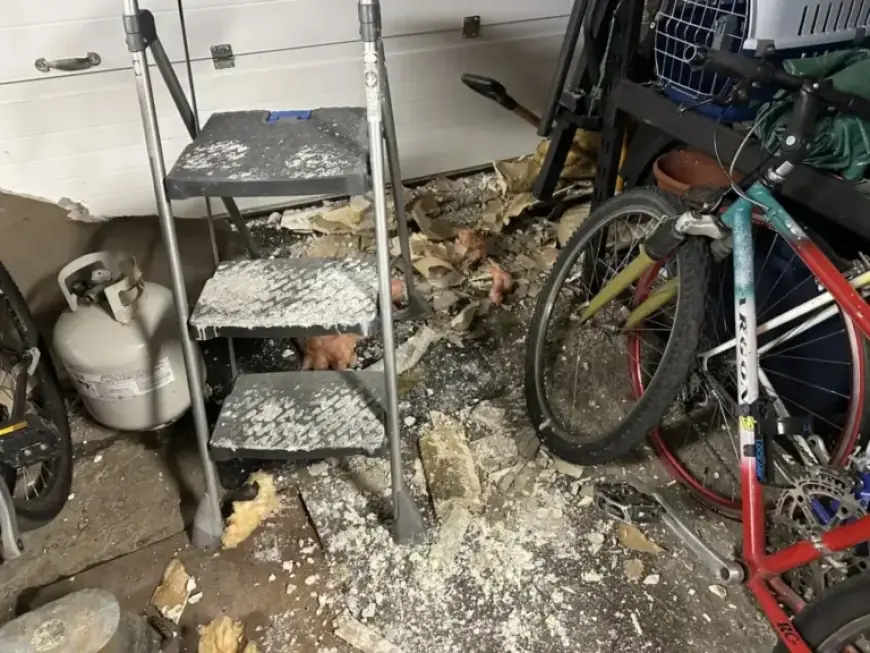 Hydro-Québec Faces Class Action Over Montreal West End Power Outage