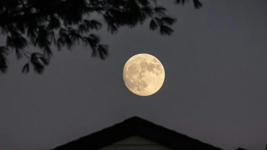 Full moon February 2026: next full moon peaks Sunday evening