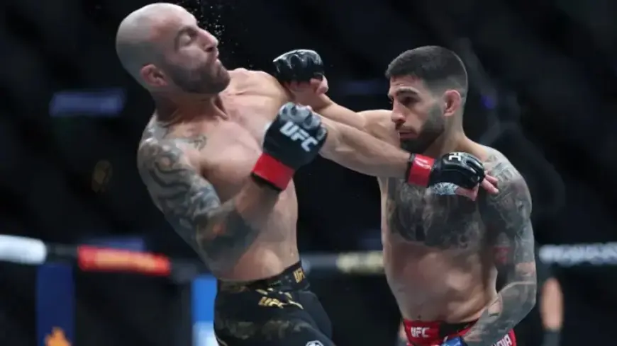 Robert Whittaker Claims Ilia Topuria Ranks as Second Greatest Featherweight