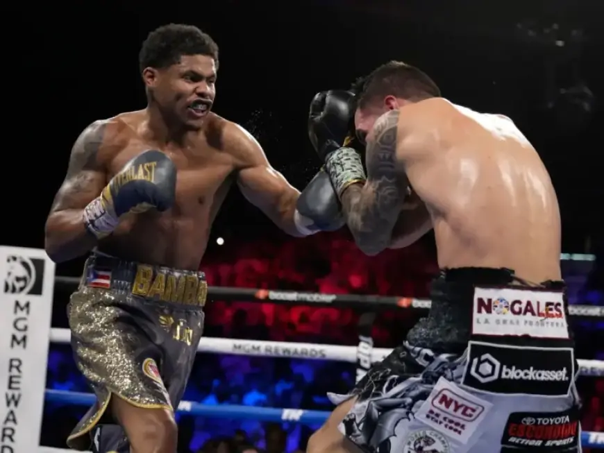 Madison Square Garden Threatens Life Bans for Brawlers at Lopez-Stevenson Fight