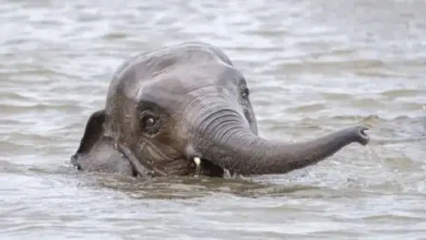 Tracking the MAFS 2025 Cast: Weddings, Secret Romances, and Transformations