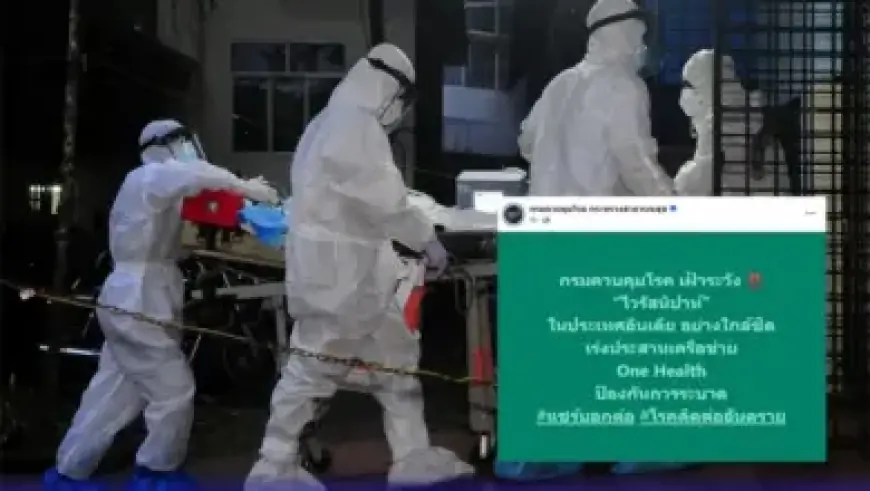 Marine Rescue NSW Leads Multi-Agency Hunt for Missing Maroubra Beach Swimmer