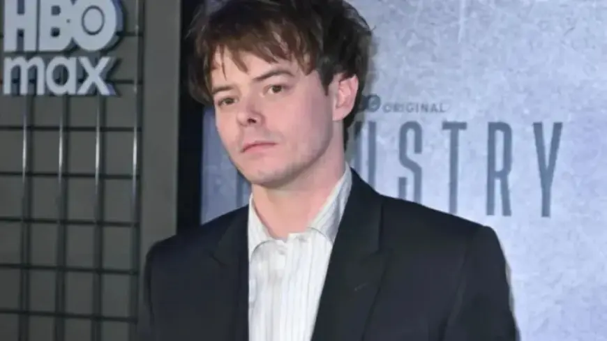 “Stranger Things Star Shares Unexpected Age Gap with Child’s Mother”