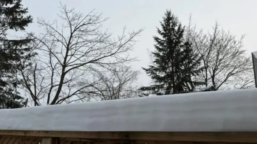 Waterloo Region’s Yellow Cold Alert Extends Through February