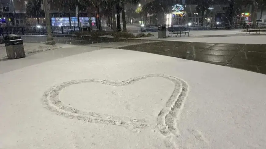 Snowstorm Blankets Myrtle Beach: Which Area Receives the Most Snow?