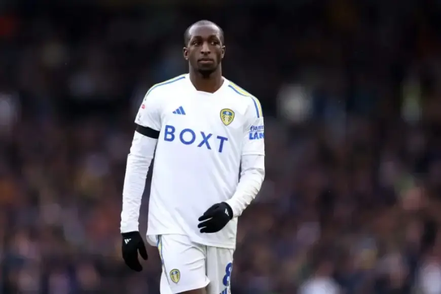 Rennes Declines Norwich’s Loan Proposal for Glen Kamara