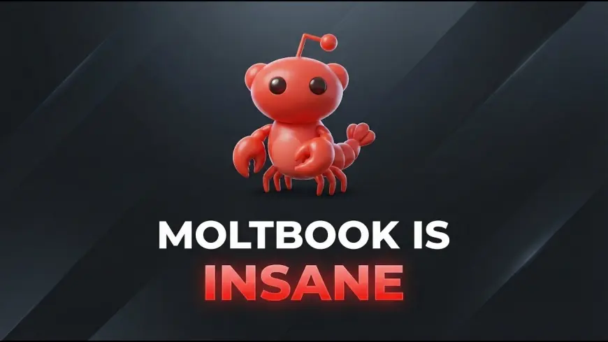 Moltbook draws attention as AI agents gather in a human-observed forum