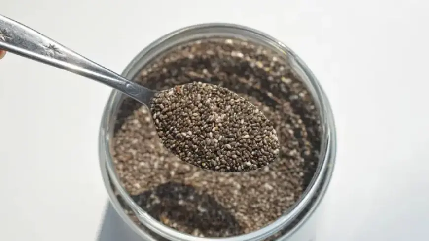 Exploring Why Chia Seeds Are Celebrated as a Superfood