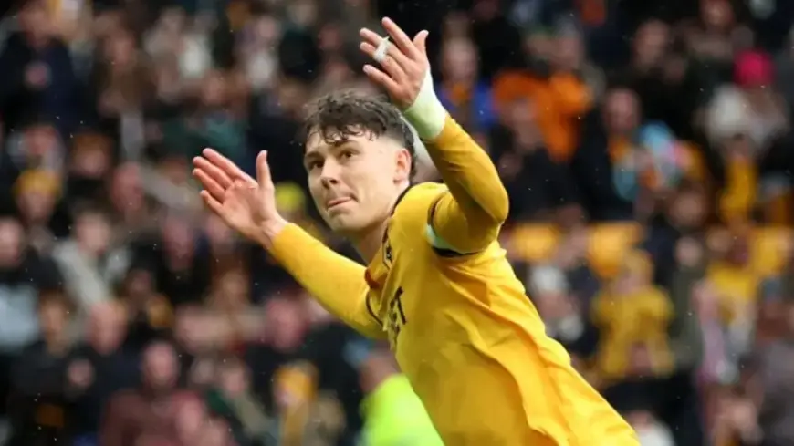 Crystal Palace Secures Jorgen Strand Larsen in £48m Deal with Wolves