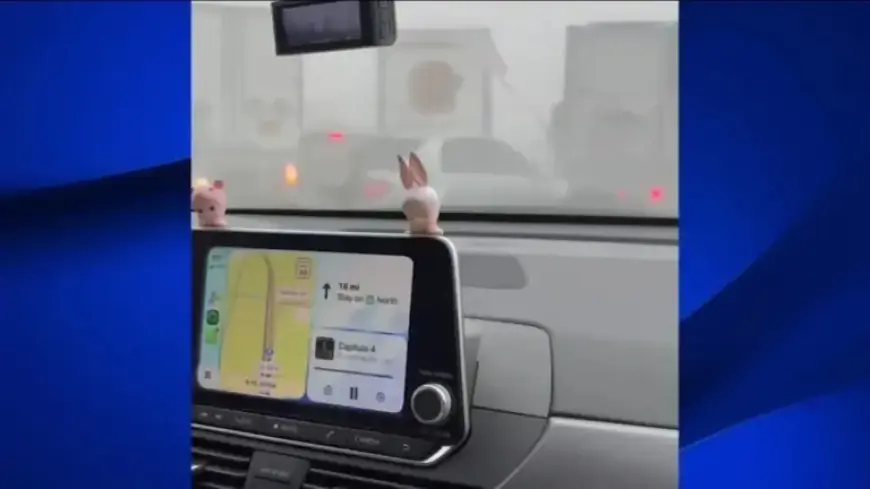 Video Reveals 59-Vehicle Highway 99 Pileup Chaos in Tulare County