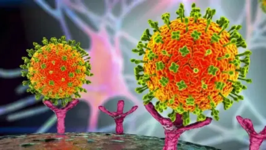 Thomas Frank Optimistic on van de Ven; Solanke Set to Start Against City