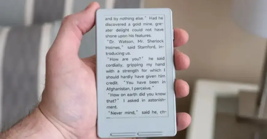 Affordable E-Reader Balances User Frustration with Potential