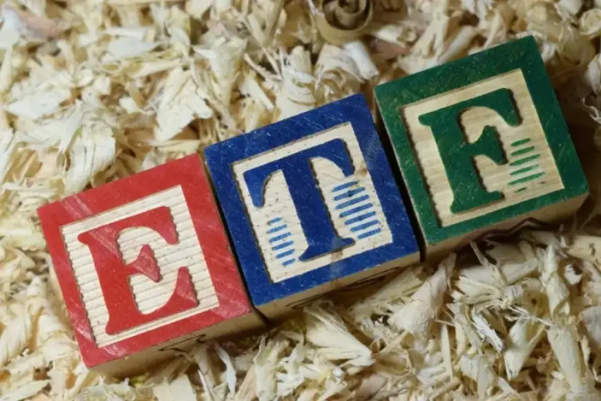 Safeguard Your Portfolio: 3 Vanguard ETFs to Weather a Market Crash