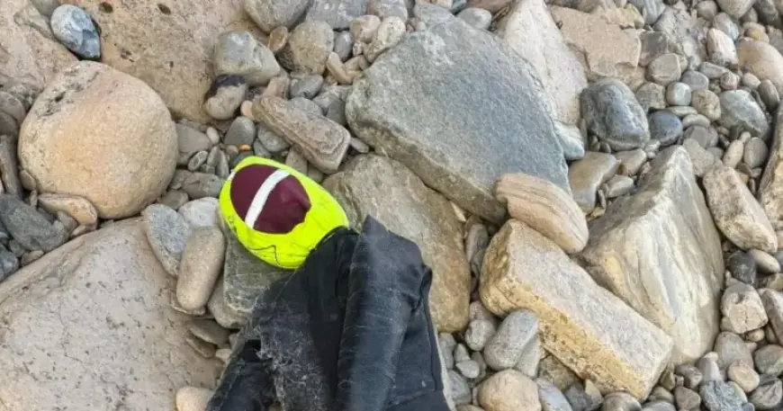 Coastguards Mobilize to Save ‘Unusual Casualty’