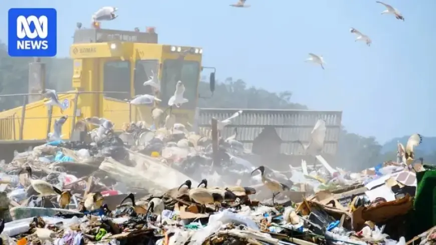 Queensland Boosts Recycling Efforts Following Missed Waste Targets