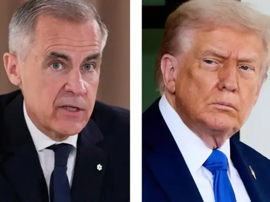 Banker Carney Sparks Climate Risk Industry Growth