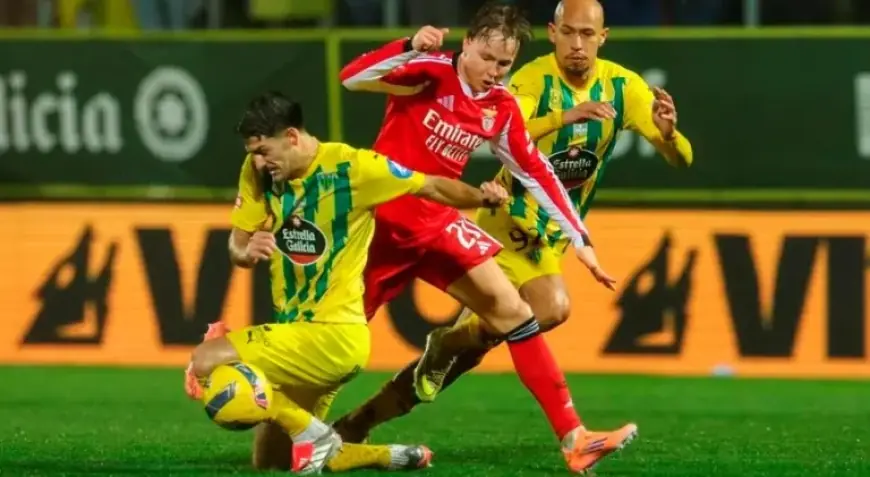 Tondela Faces SL Benfica in I Liga Showdown