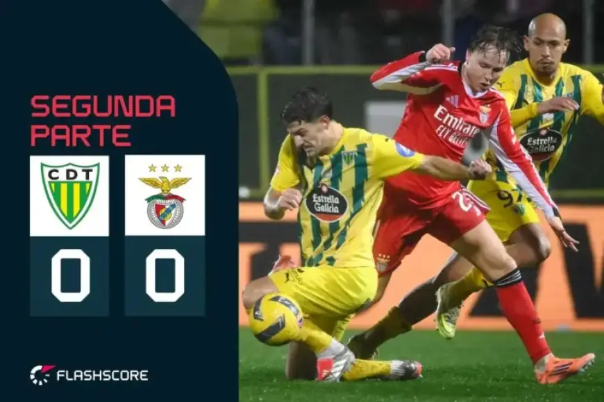 Live: Schjelderup and Prestianni Show High Activity