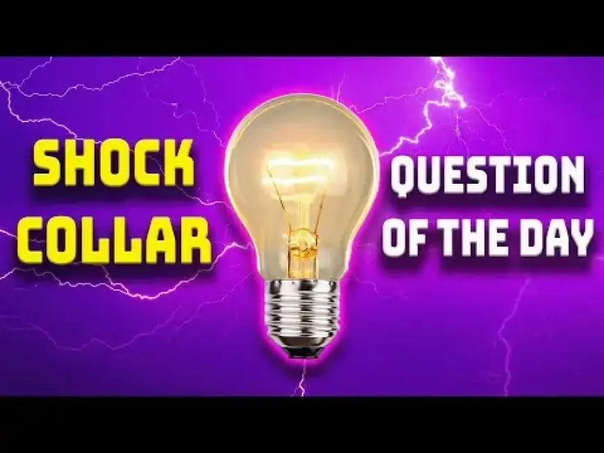 Brooke and Jeffrey Ignite ‘Mustache Mania’ in Shock Collar Trivia Event