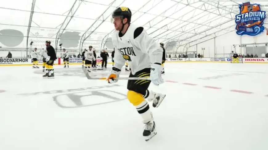 Pastrnak Showcases Brilliance for Bruins in Stadium Series