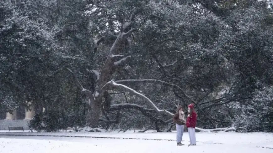 Bomb Cyclone Unleashes Intense Cold and Snow on the Southeast: NPR