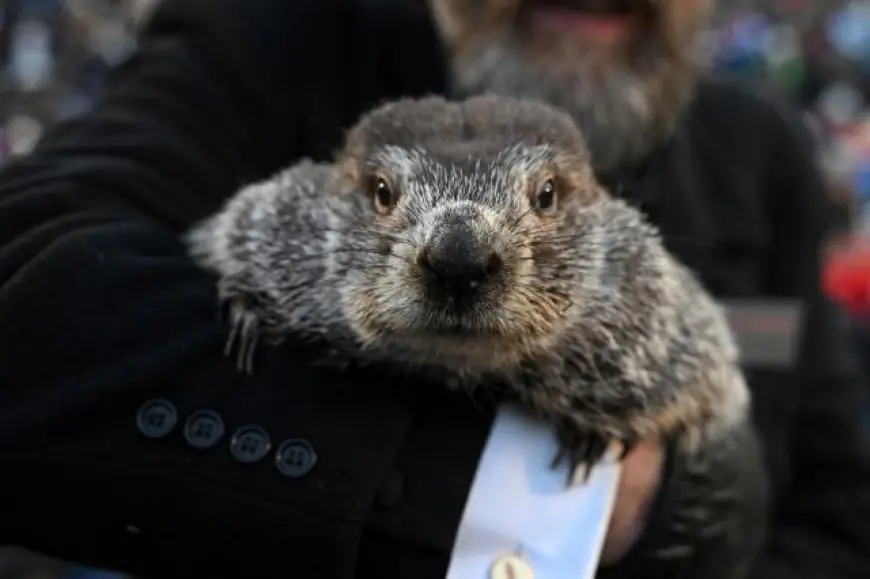 Groundhog Day 2026: Punxsutawney Phil and the shadow question