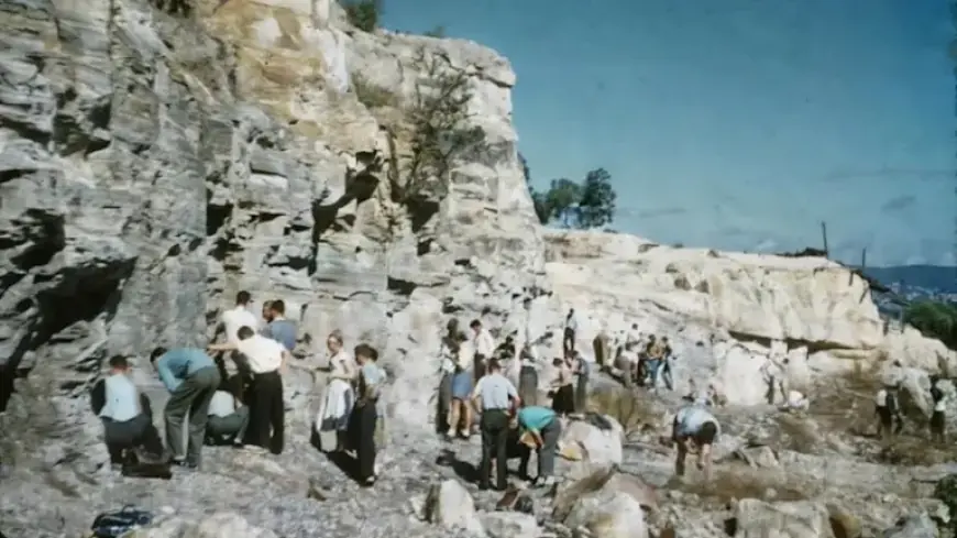 Oldest Dinosaur Fossil in Australia Unearthed in Brisbane Suburb