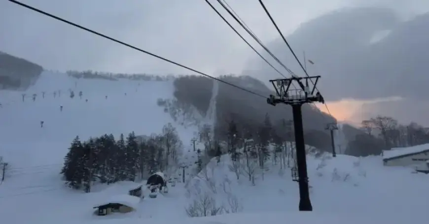 Australian Woman Tragically Dies at Japanese Ski Resort