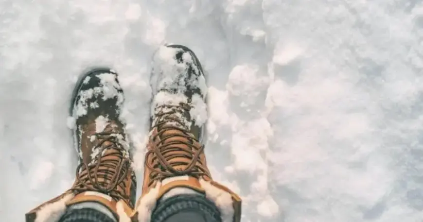 Vermont Shatters Record with Historic Snowfall