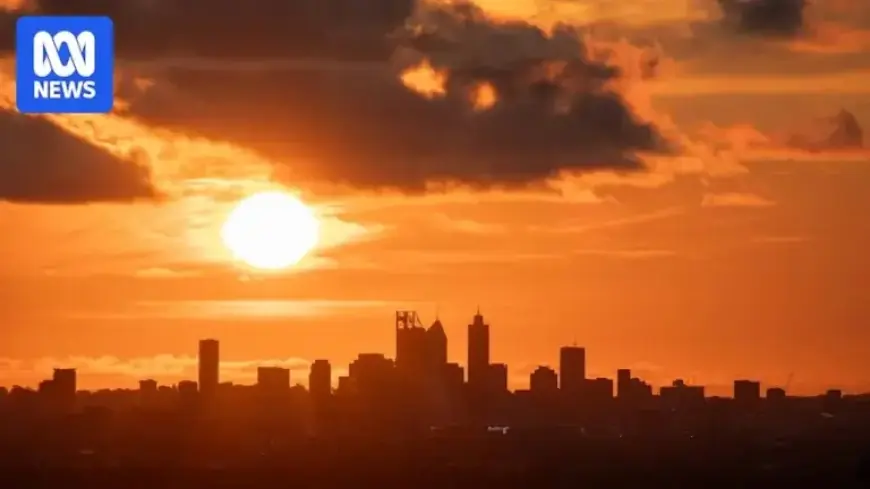 How Heatwaves Transform Australian Lifestyles: Illustrated Charts