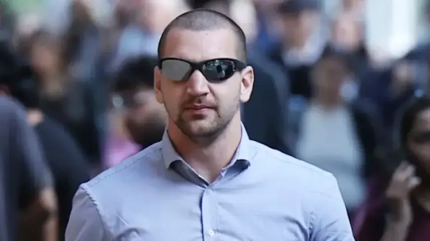 Pam the Bird Vandal Faces Trial in $700K Cartoon Graffiti Case