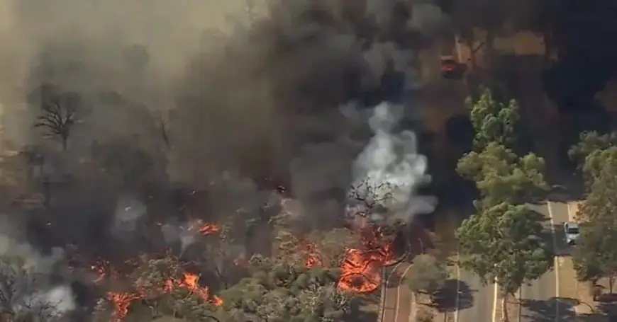 Cigarette Butt Sparks Devastating Perth Bushfire