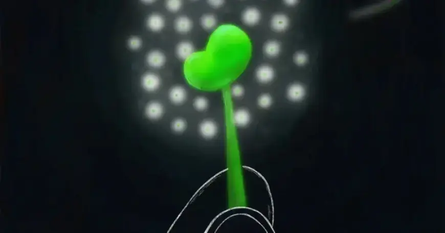 Donate a Kidney, Make a Lifesaving Impact: An Opinion