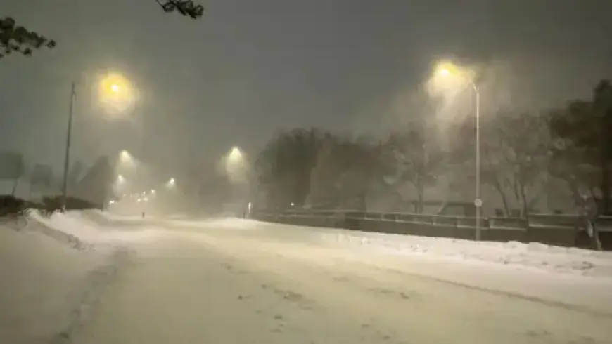 Storm Forces School Closures and Bus Halt in Newfoundland