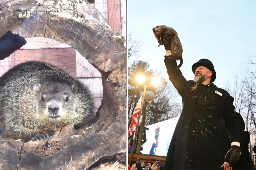Punxsutawney Phil sees his shadow, calling for six more weeks of winter