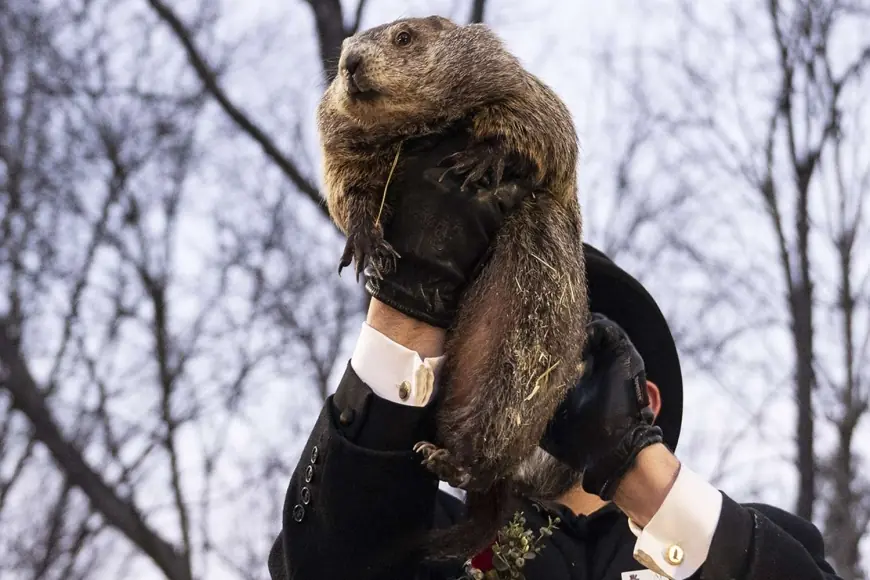 Groundhog Day 2026: Punxsutawney Phil calls for six more weeks of winter