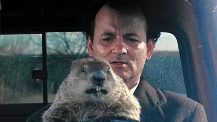 Stream ‘Groundhog Day’ Repeatedly in 2026: Ultimate Viewing Guide