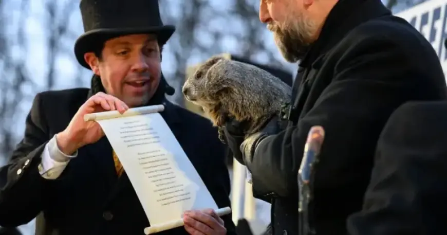 Groundhog Day 2026: Phil Predicts Extended Winter with Shadow Sighting