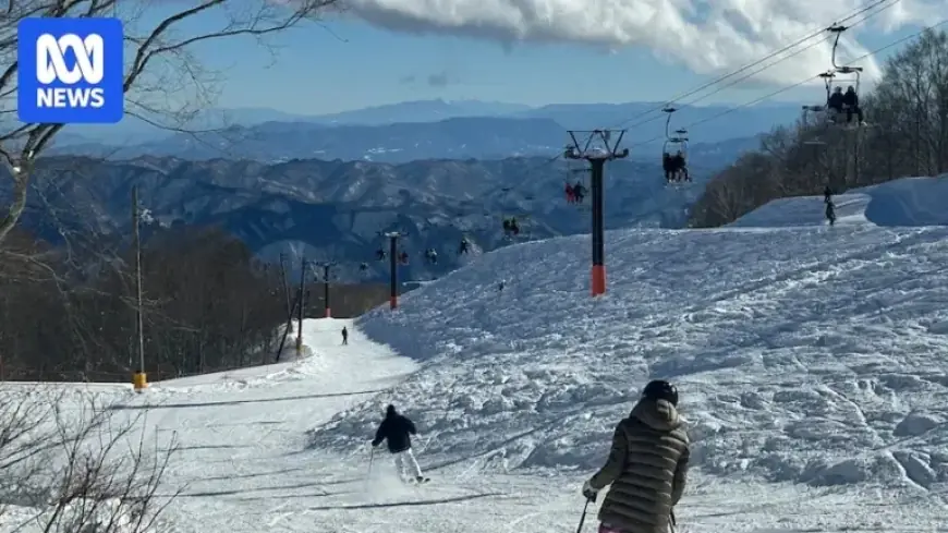 Australian Woman Tragically Dies in Japan Ski Lift Accident