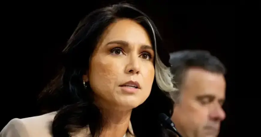 Tulsi Gabbard Faces Accusations of Delaying Whistleblower Complaint