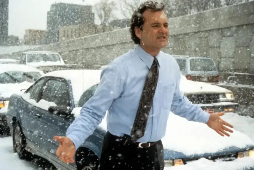 Bill Murray Bitten by ‘Groundhog Day’ Groundhog: Truth Revealed