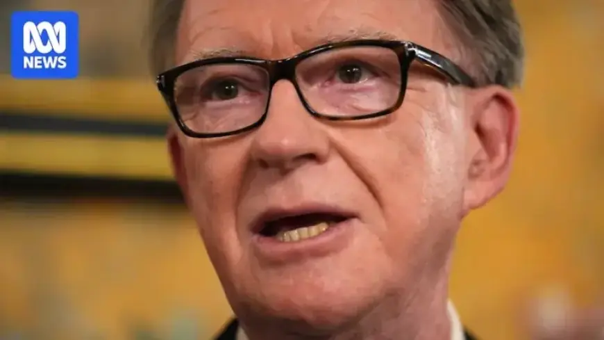 UK PM Launches Inquiry into Former US Ambassador’s Epstein Connections