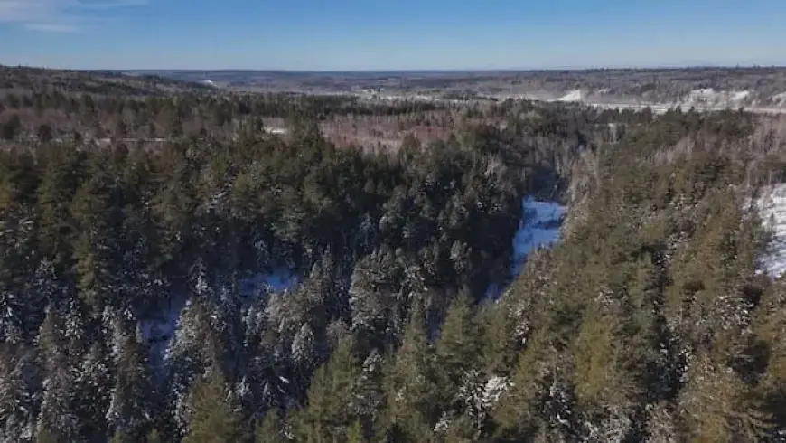 J.D. Irving Plans Forest Swap, Threatening Protected Lands