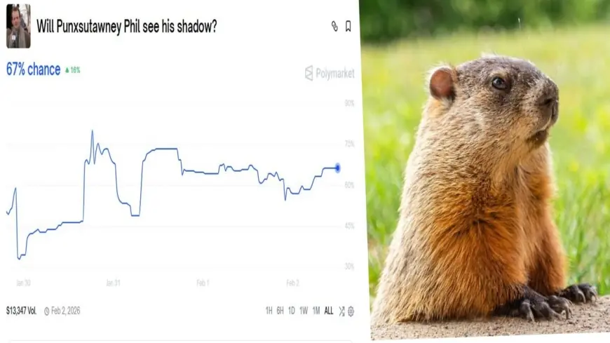 Groundhog Day 2026 Results: Punxsutawney Phil Saw His Shadow, Signaling Six More Weeks of Winter
