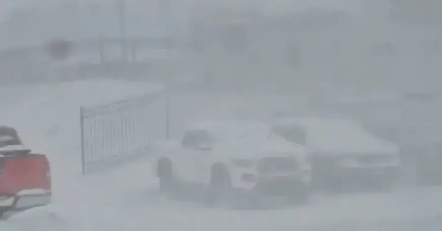 Historic Snowfall Blankets the Carolinas